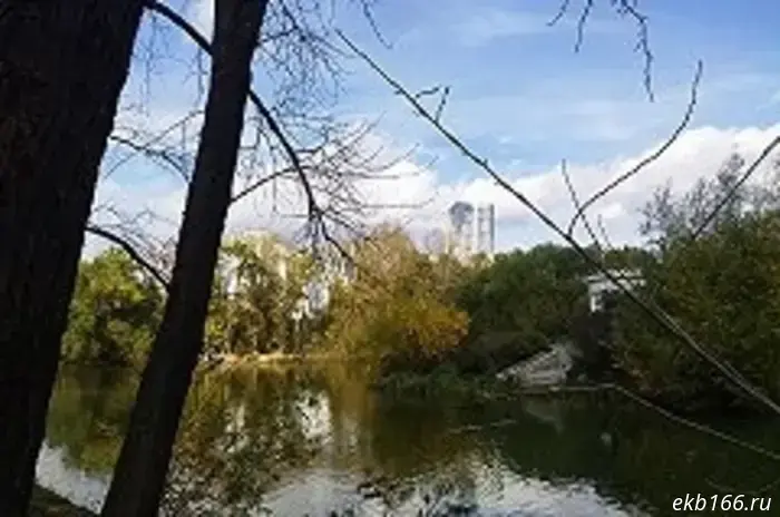 На ещё одной улице в центре Екатеринбурга будет запрещена парковка.
