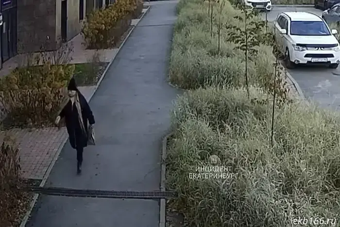 На Эльмаше рядом с ЖК «Изумрудный Бор» разбросали яды для собак.