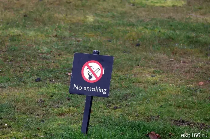 The chief narcologist of the Ural Federal District proposed to completely ban vapes and tobacco in Russia.