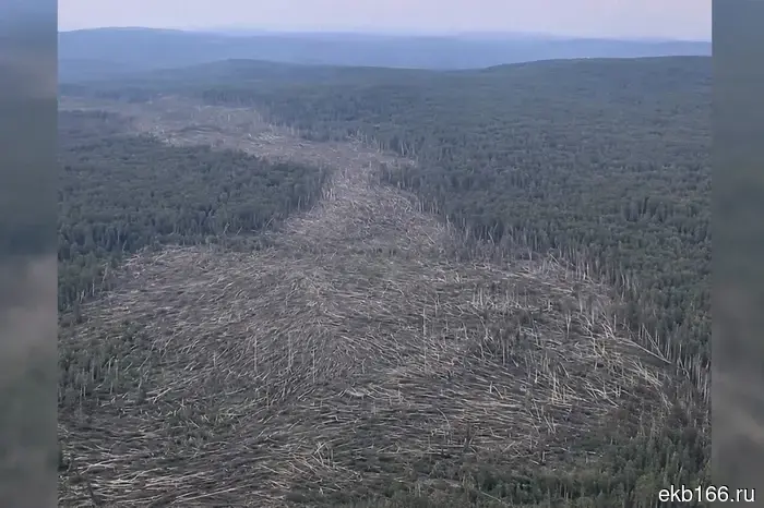 The tornado that brought destruction to Kushva and destroyed more than 710 hectares of forest was a tornado.