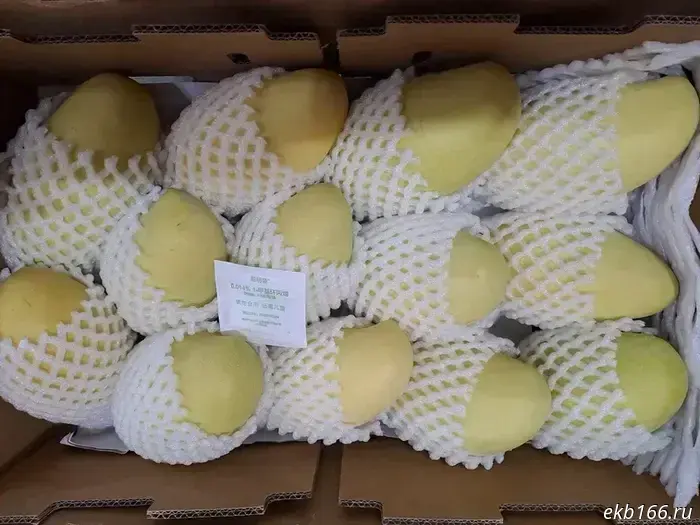 Личи и маракуйя впервые были высажены на Урале.