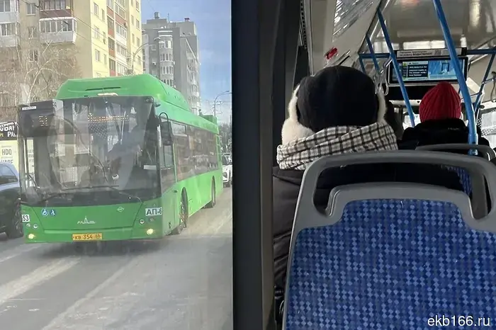 «Ничего не сделал». Перевозчика признали culpable за конфликт в автобусе в Каменске-Уральском.