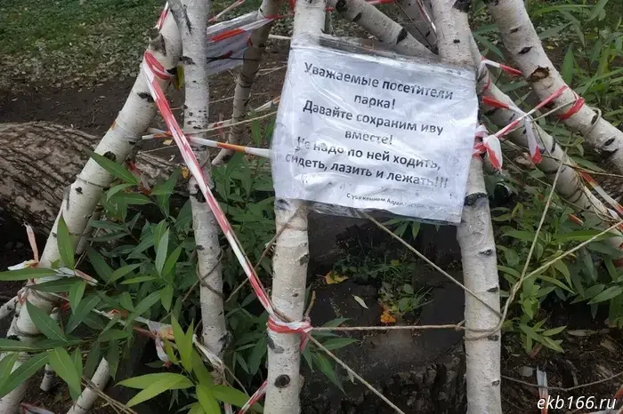 Вход в дендрарии Екатеринбурга для фотосессий стал платным.