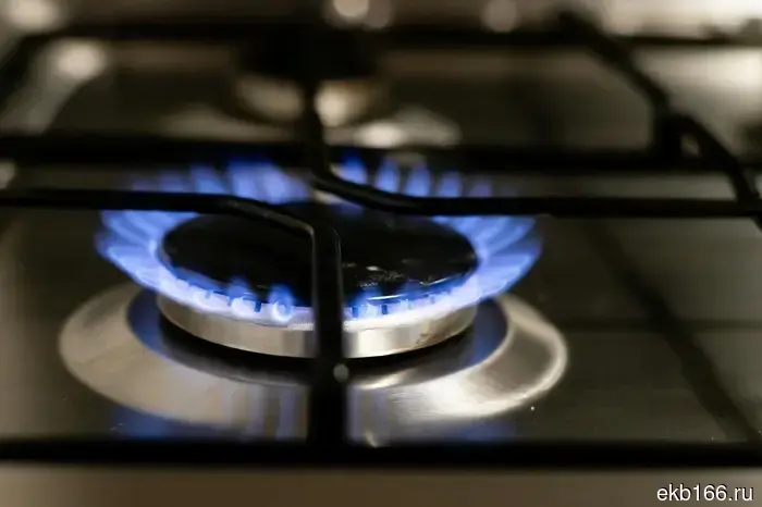 "Yekaterinburggaz" inflated prices for maintenance and repair