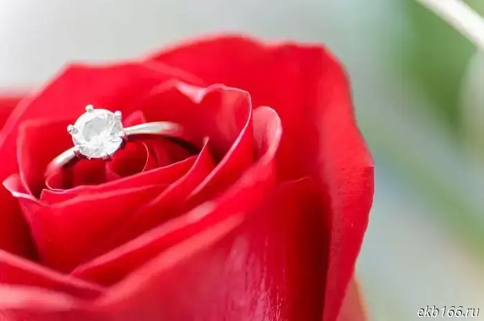 "Red Flags." Yekaterinburg residents explained how to properly propose to a girl.