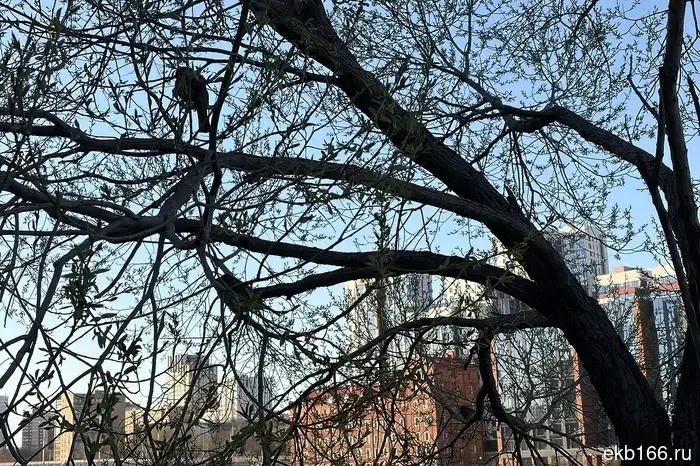 В Свердловской области введен режим беспилотной угрозы.