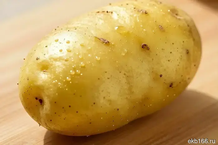 Sverdlovsk schoolchildren created "ogurtyk" and "tomatofel."