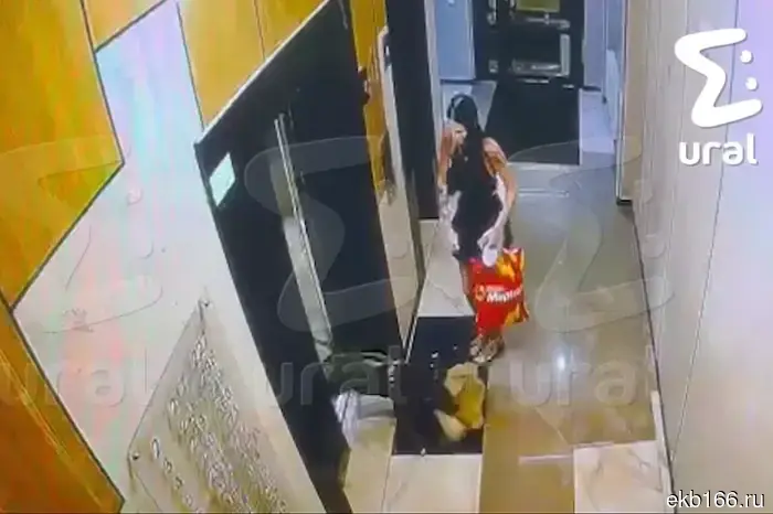В екатеринбургском жилом комплексе питбуль атаковал шпица.