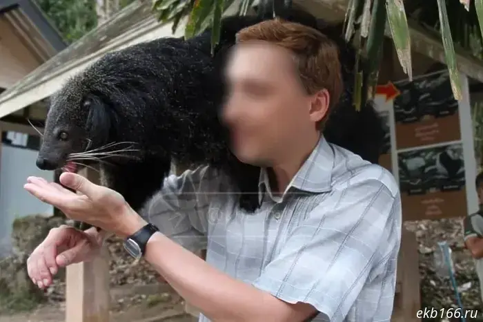 В Екатеринбурге суд не стал отправлять в СИЗО concertmeister, обвиняемого в педофилии.