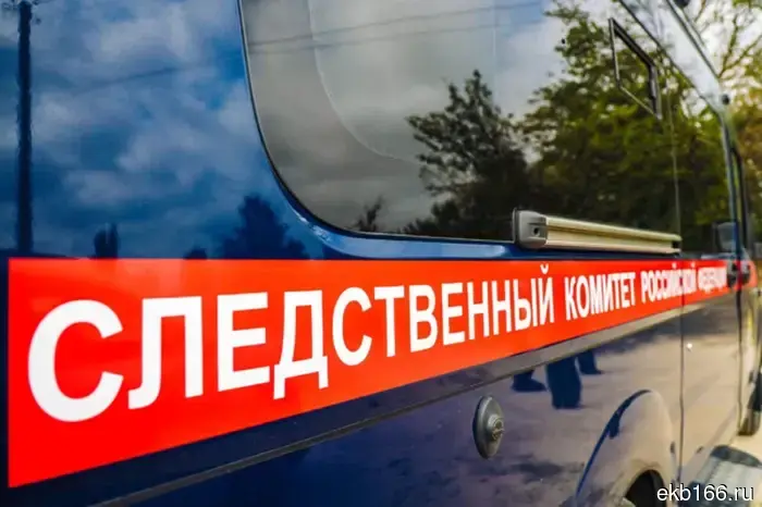 Two teenagers in Krasnoturinsk brutally killed their peer.