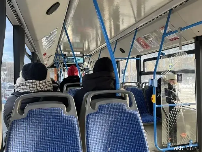 "Did nothing." The carrier was found guilty of a fight in the bus cabin in Kamensk-Uralsky.