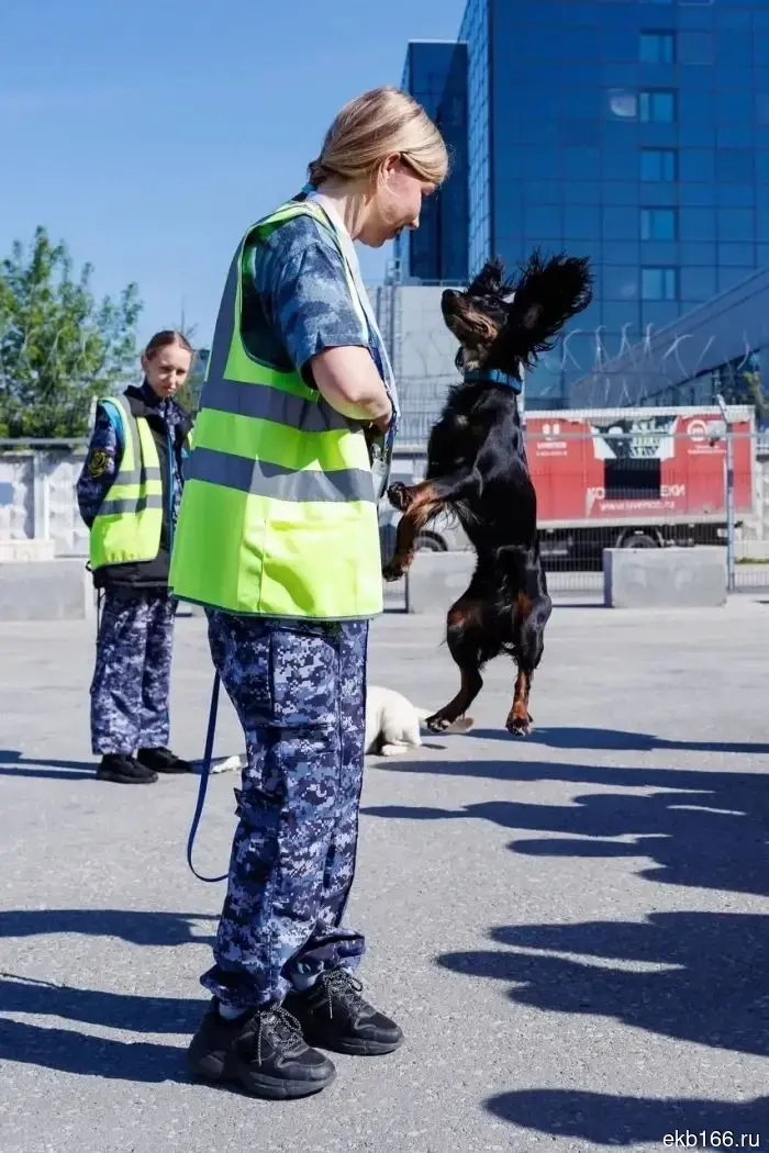 The bullet will search for weapons in Koltsovo.