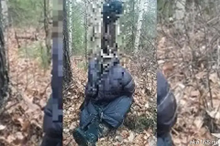 ГУ МВД: Обнаруженное в лесу под Ивделем тело без головы принадлежит мужчине.