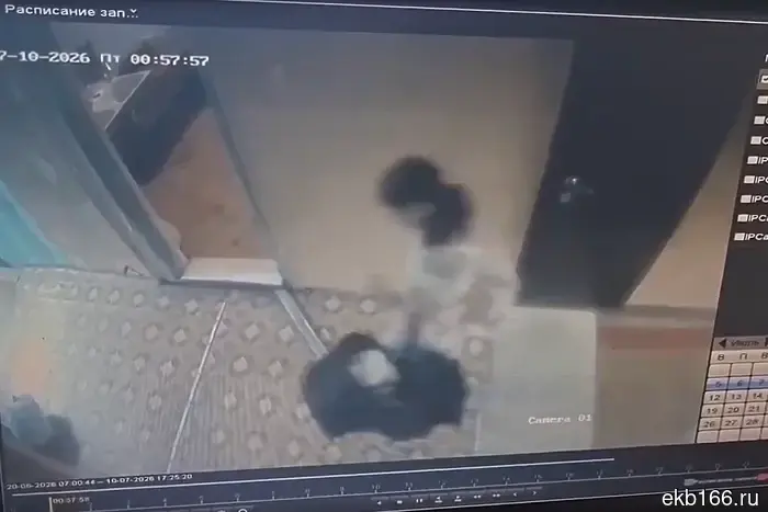 В Полевском разыскивают 19-летнюю мать с инвалидностью, которая унесла из дома своего полугодовалого сына.