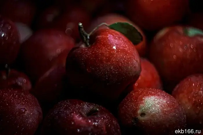 В Свердловскую область clandestinely доставили тонны яблок.