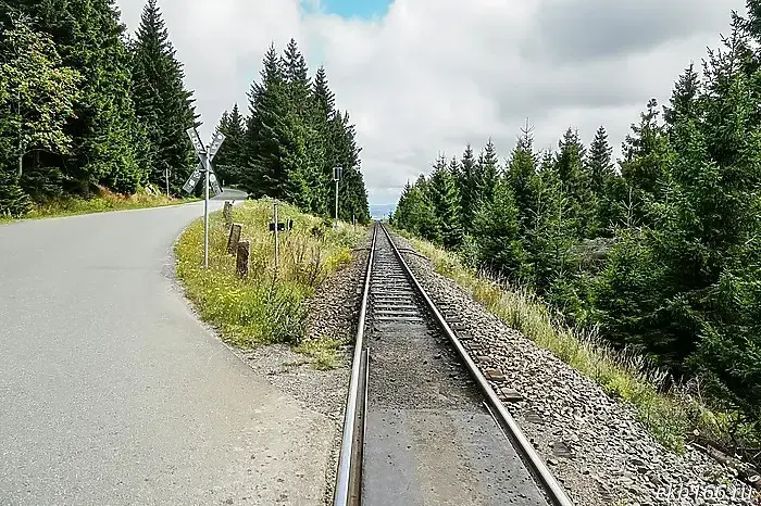 Widespread train delays have begun in Sverdlovsk Oblast due to a severe fire.