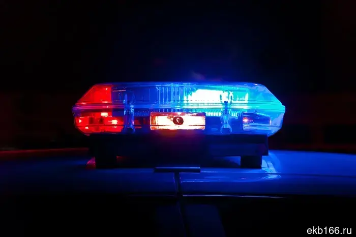In the "Globus" shopping center, law enforcement detained a man.