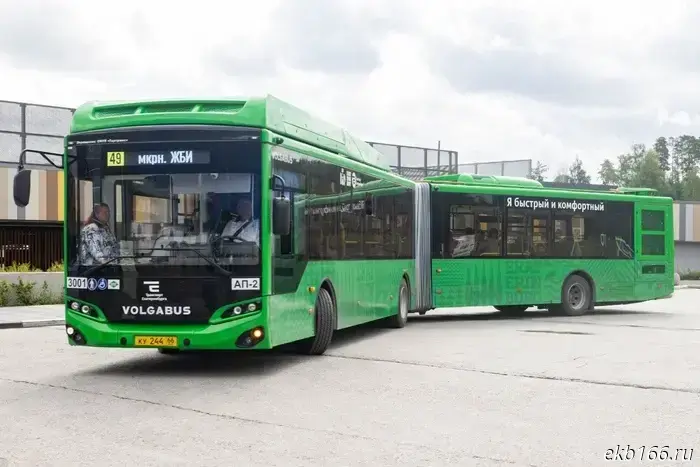 In Yekaterinburg, accordion buses have returned to the line.