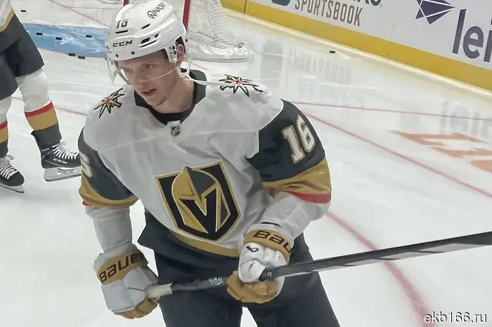 A young hockey player from Sverdlovsk signed a contract with the NHL worth tens of millions of dollars.