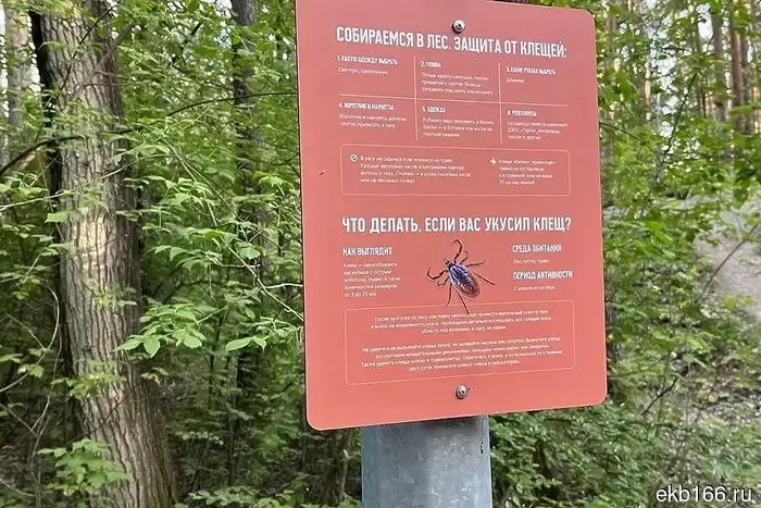 In Sverdlovsk pharmacies, it is no longer possible to buy vaccines for tick-borne encephalitis.