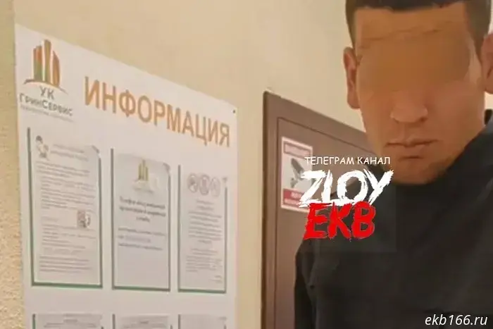В связи с нападением на жильца в Екатеринбурге, недовольного управляющей компанией, был задержан охранник этой компании.