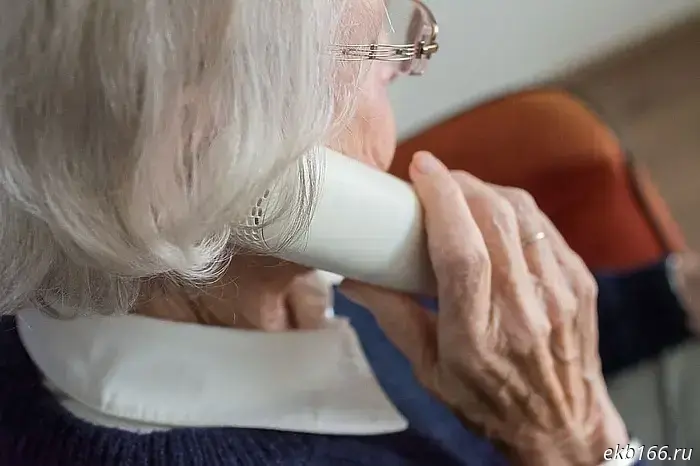 A retired woman from Yekaterinburg learned to use Google Meet for 6.5 million rubles.