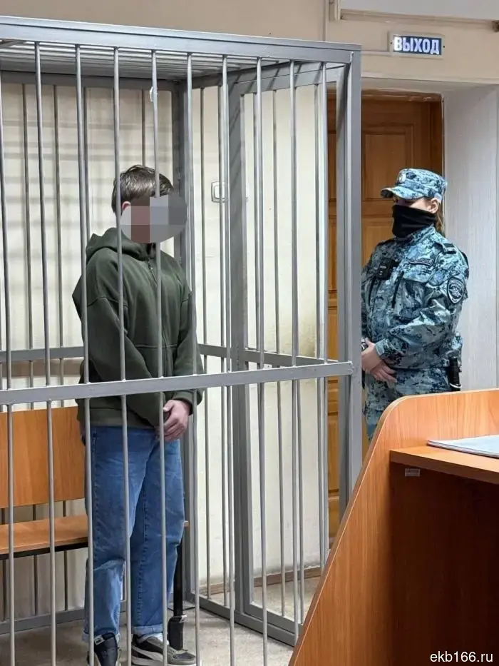 A teenager who stabbed a 47-year-old woman is only charged with attempted murder.