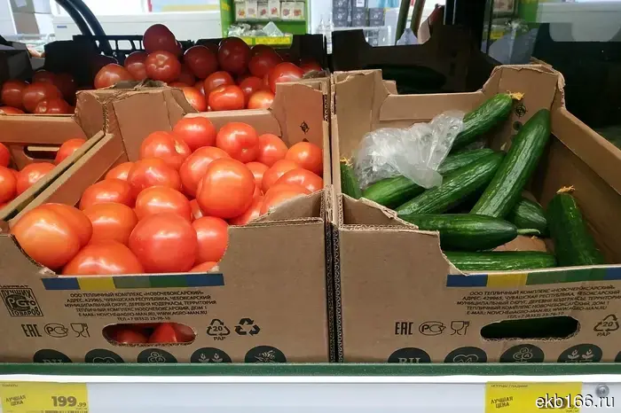 В одной из продуктовых сетей Екатеринбурга ограничили продажу свежих огурцов.