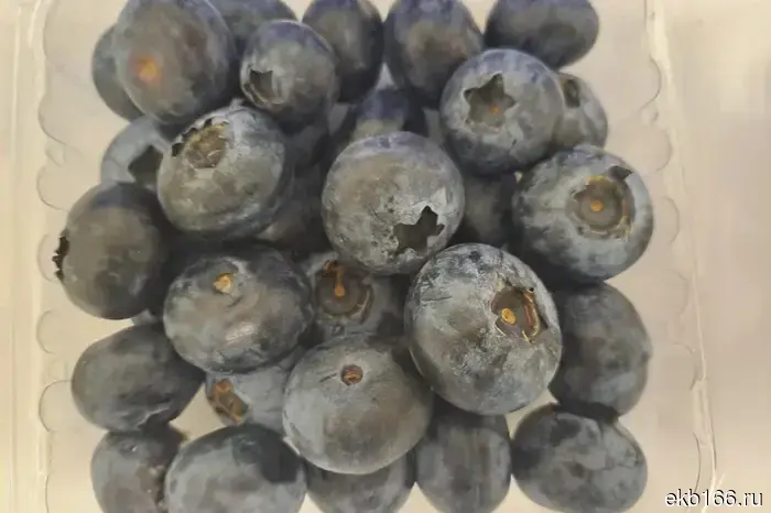 The first batch of blueberries from China was cleared by Ural customs officials.