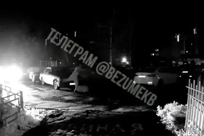 В Екатеринбурге местный житель сильно избил свою жену.