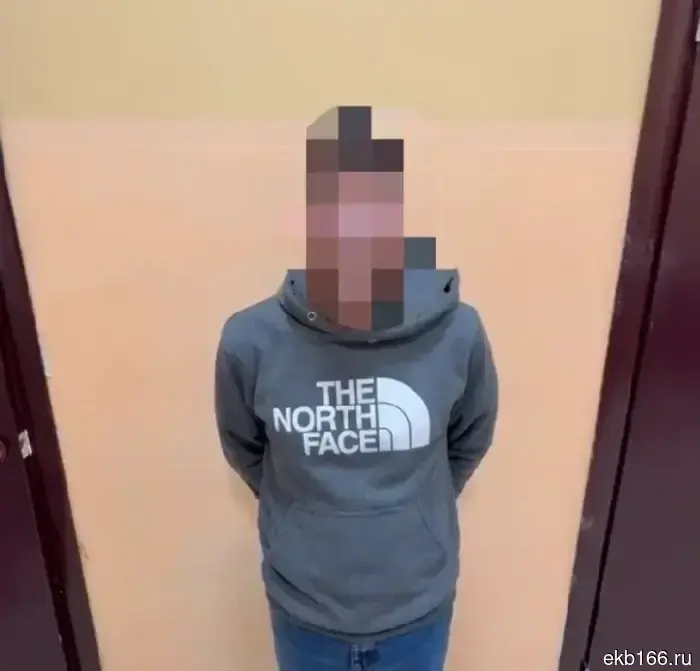 В Екатеринбурге открыто уголовное дело в отношении пассажира, который сообщил о взрывоопасном объекте в своей сумке.