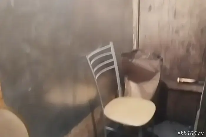 A café in Pionersky was closed because of unsanitary conditions.