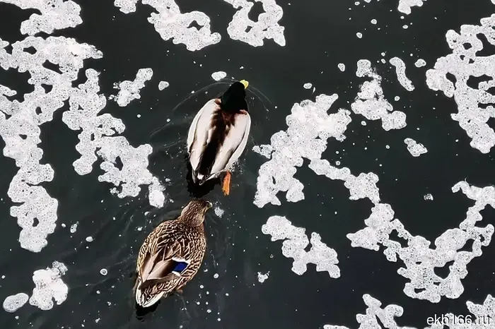 В Екатеринбурге был зафиксирован абсолютный погодный рекорд за весь период метеорологических наблюдений.