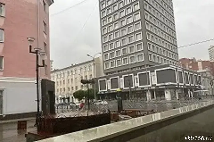 Tens of thousands of infected roses arrived in Yekaterinburg.