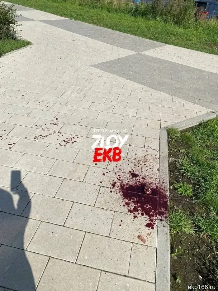 «Кровь не прекращала течь». В Широкой Речке на курьера доставки напал владелец собаки.
