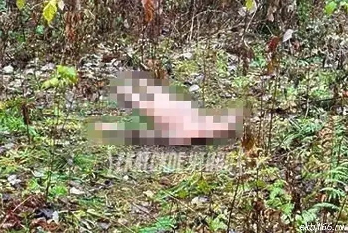 A headless body was found in a park in the southwest.