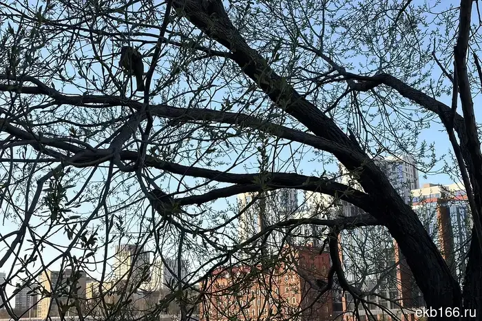 В Свердловской области введен режим беспилотной угрозы.